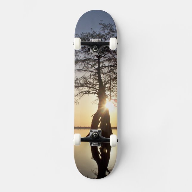 Skate Sunset Atrás de Árvore (Frente)