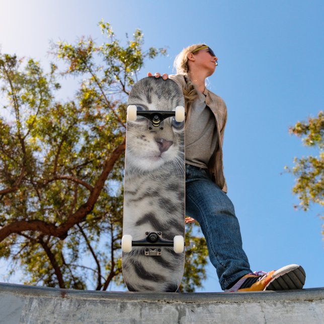 Skate "Sussurros de Problemas: o Misquioso Tabby Kitten (Ao ar livre 1)