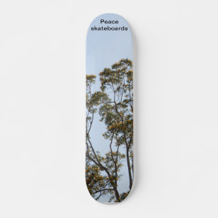 Skate Tabuleiro de crescimento e aprendizagem