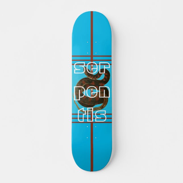 Skate Tabuleiro de Design de Serpente Azul legal para In (Frente)