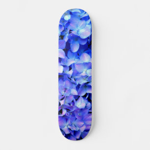 Skate Tanzanite Hydrangeas