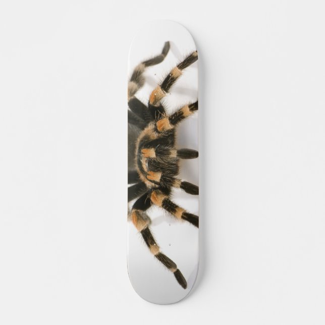 Skate Tarantula (Frente)