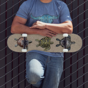 Skate Tartarugas