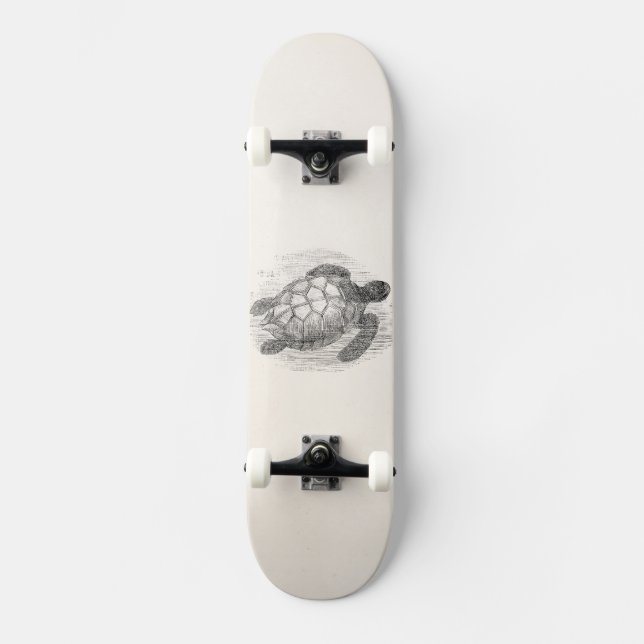 Skate Tartarugas marinhas personalizadas de tartaruga de (Frente)