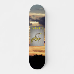 Skate Tenha Sorte!