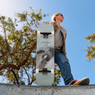 Skate Tidi, meu Pássaro, o Parus Major