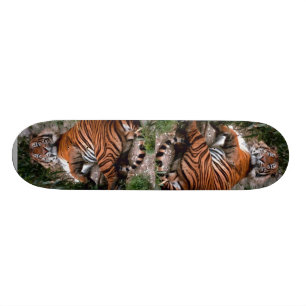 skate Tiger