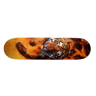 Skate Tigre da chama