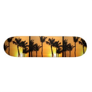 Skate tropical do por do sol