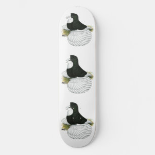 Skate Trumpeter Pigeon Black Balehead
