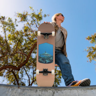 Skate Tubarão-de-ponta-preta, Ilha Yap - Design Fotográf