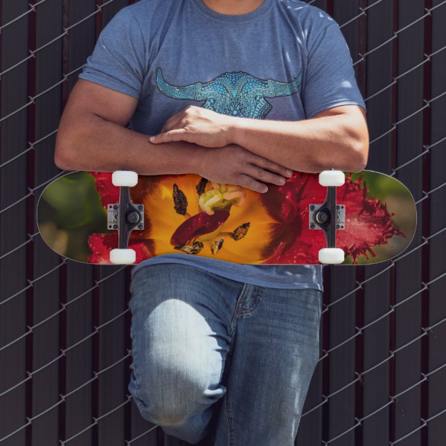 Skate tulipa vermelha (Ao ar livre 3)