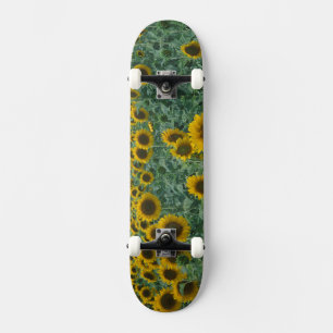 Skate UE, França, Provença, Campo de girassóis