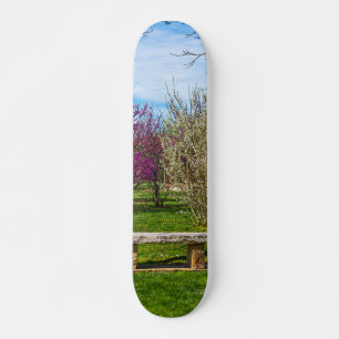 Skate Uma estação de Primavera
