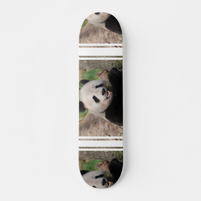 Skate Urso de panda de sorriso (Frente)