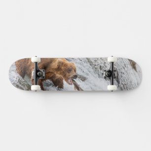 Skate Urso Pardo Pega Salmão Vermelho