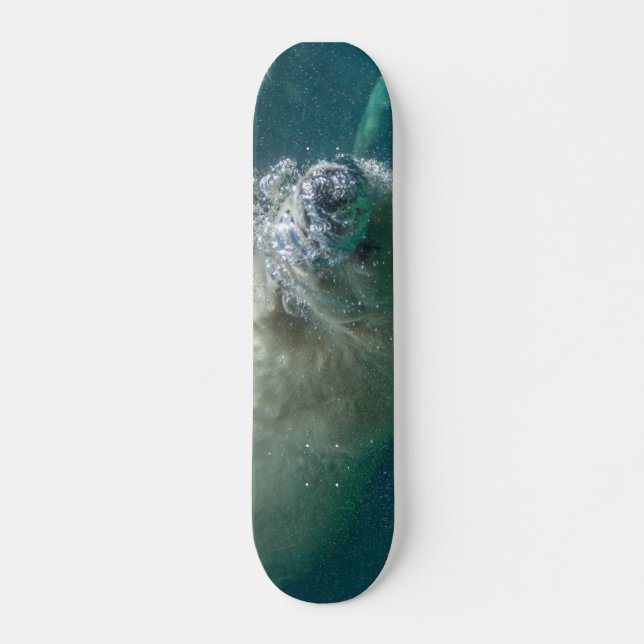 Skate Urso polar submarino (Frente)
