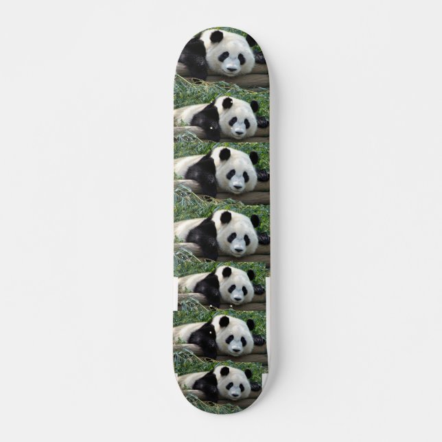 SKATE URSOS PANDA (Frente)