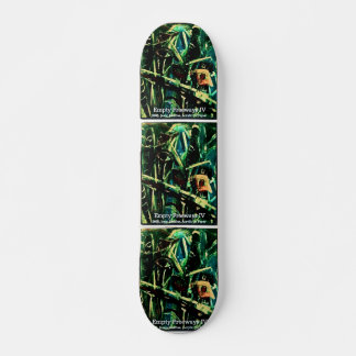 SKATE VAZIAS IV