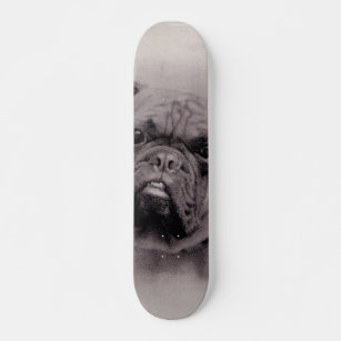 Skate Vintage Bulldog Fotografia do Rosto