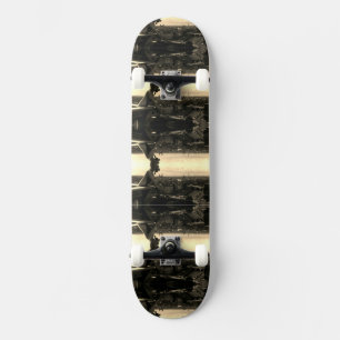 Skate Vintage França Paris Notre Dame Catedral Li