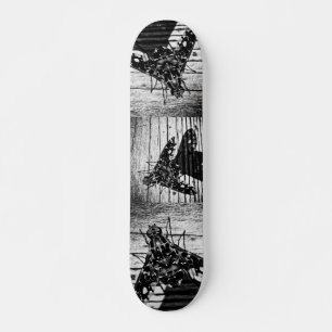 Skate voar de volta