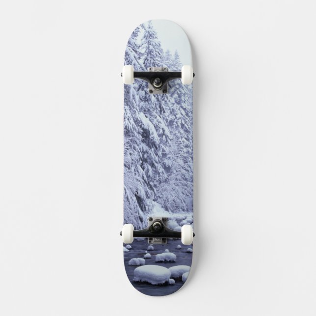 Skate WA, Floresta Nacional Mount Baker-Snoqualmie, (Frente)
