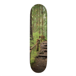 Skate WA, Olimpiadas NP, Sol Duc Valley, floresta tropic