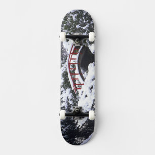 Skate WA, Seattle, Ponte da Lua e lago após o inverno 2