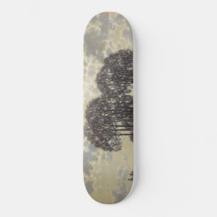 Skate Winter (por Vilhelms Purvitis)