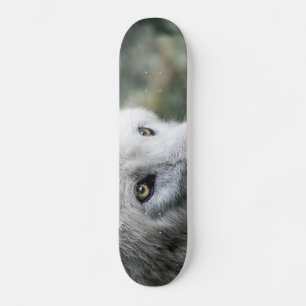 Skate Wolf Stare