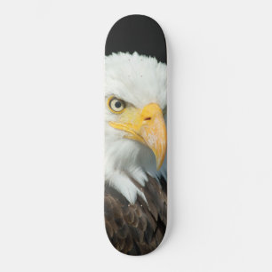 Skateboard - Águia de Pássaro da Natureza