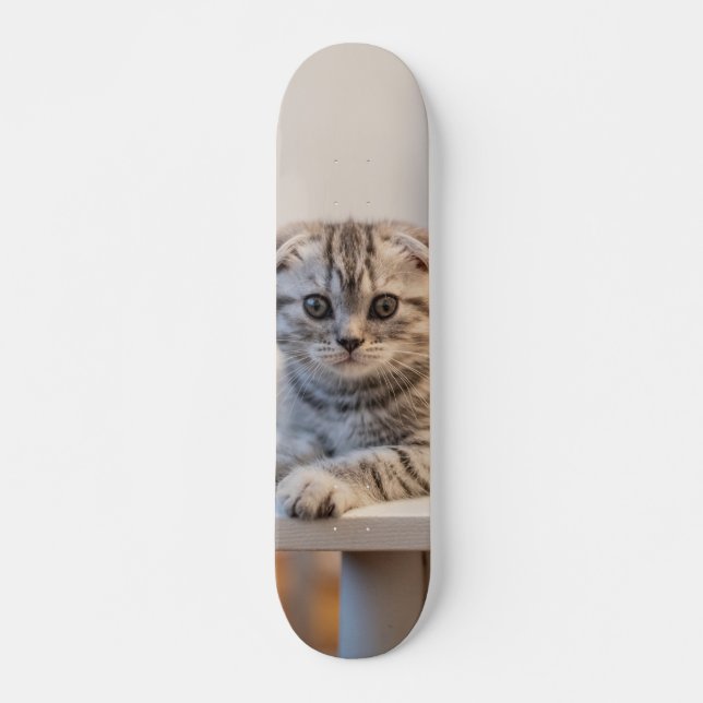 Skateboard Atento gato de raza fold escocés (Frente)