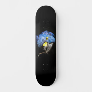 Skateboard Blue Macaw