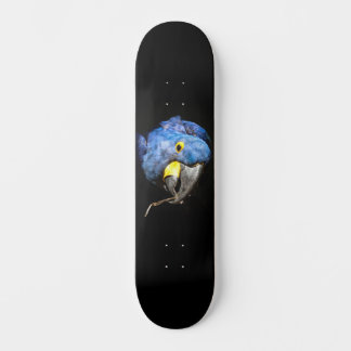 Skateboard Blue Macaw