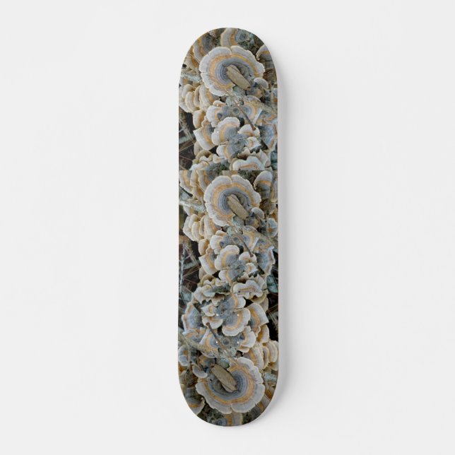 Skateboard Blue Shelf Fungus (Frente)