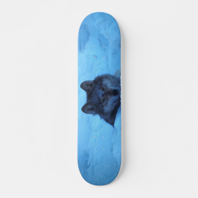 Skateboard Blue Snow Timber Wolf (Frente)