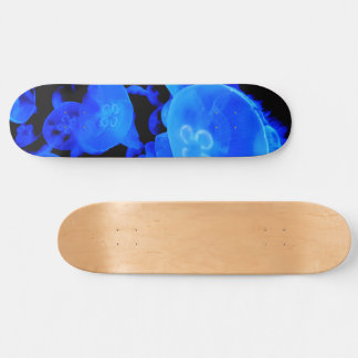 skateboard de água-viva