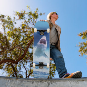 SKATEBOARD DO FILME SHARK DO KILLER