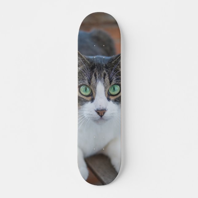Skateboard Gato gris y blanco observando (Frente)