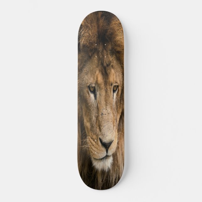 Skateboard poderosamente construída LION (Frente)