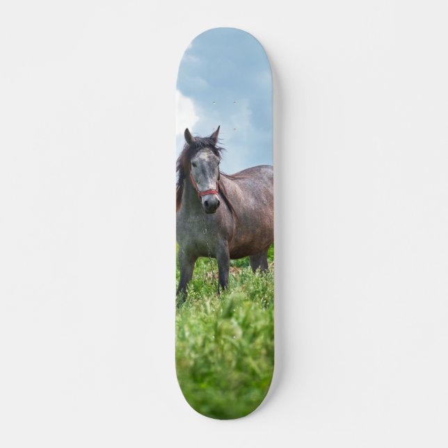 Skateboard Poderoso caballo gris en el campo (Frente)