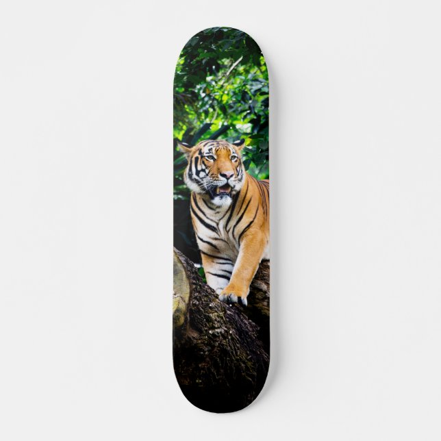 Skateboard Poderoso cazador tigre de Bengala (Frente)