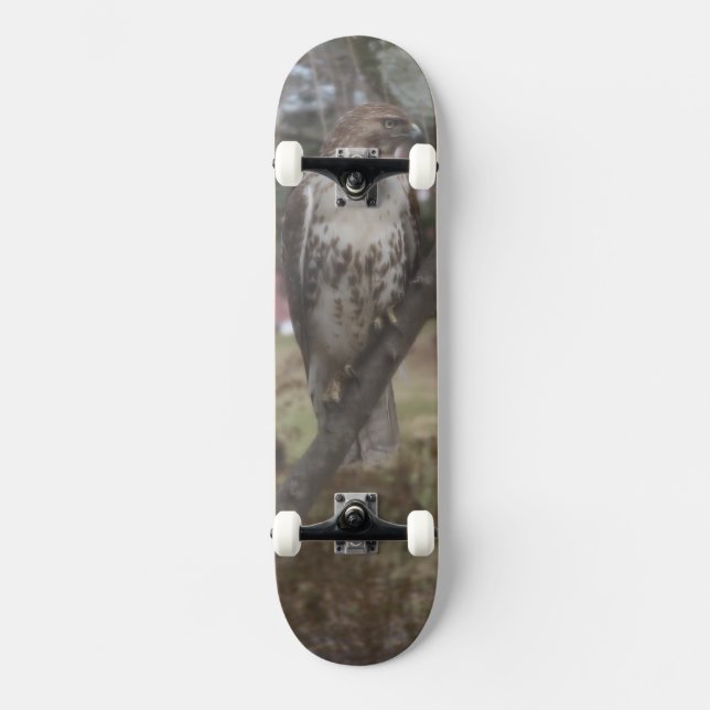 Skateboard Red-tail Hawk - Escolha o seu pavimento (Frente)