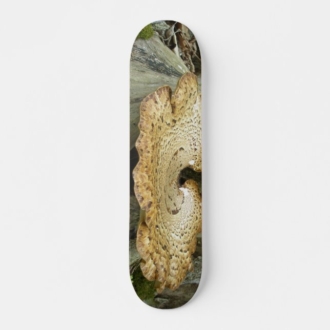 Skateboard Shelf Fungus na árvore (Frente)