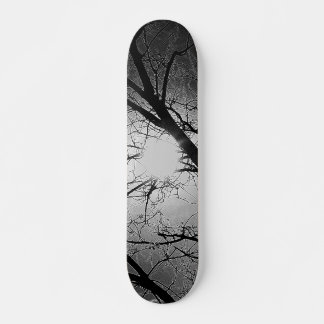 SKATEBOARD STYLE AND DESIGN
