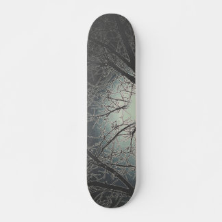 SKATEBOARD STYLE AND DESIGN