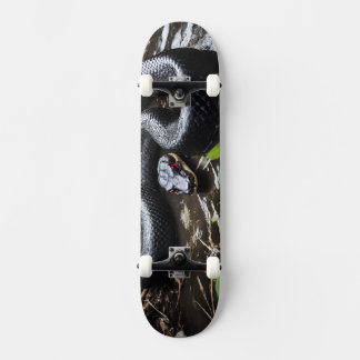 Skateboard with black anaconda