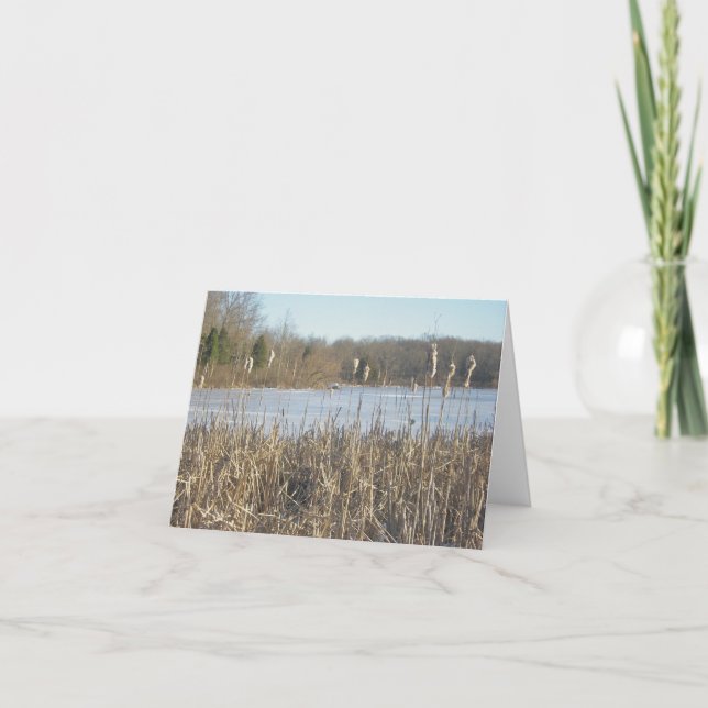 Skymount Pond no Cartão de Nota de Gelo (Frente)