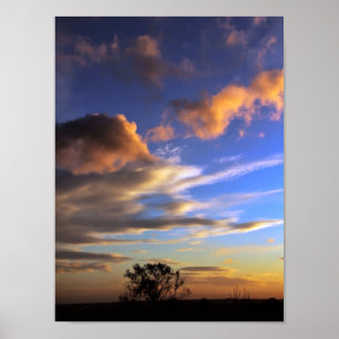 Skyscapes : Ferntree Gully - POSTER